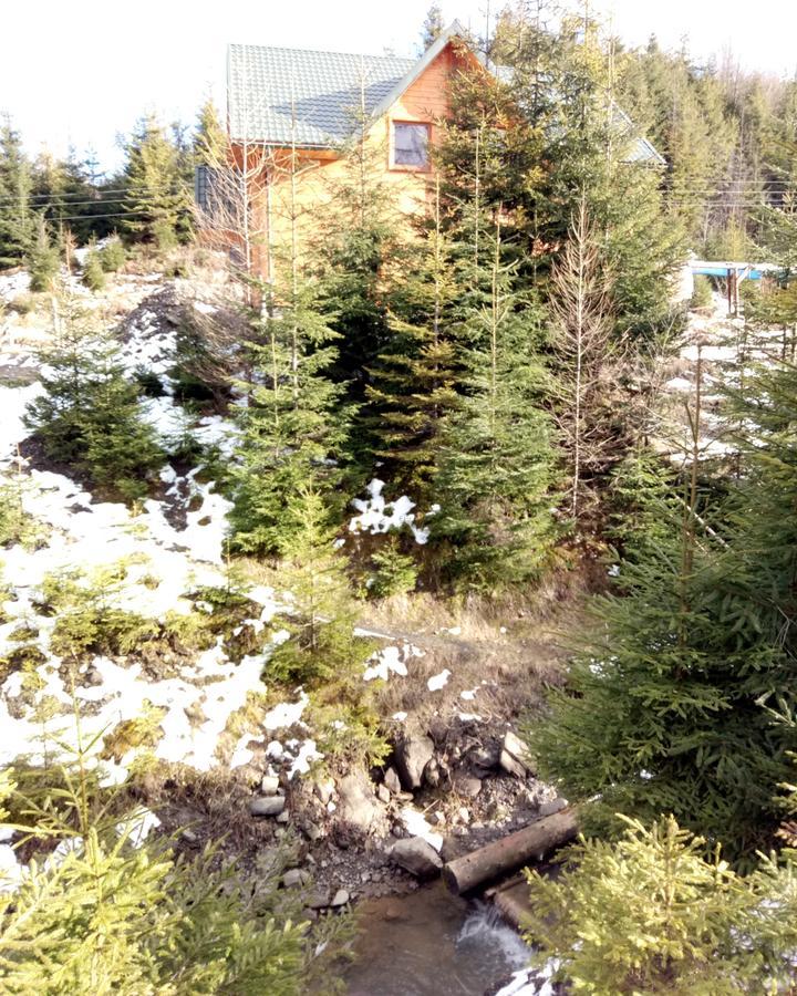 Wooddream Hotel Volovets Exterior foto